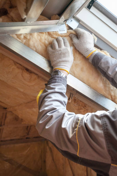 Best Commercial Insulation in Fortuna Foothills, AZ